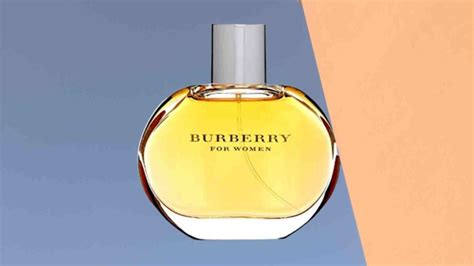 burberry classic piramide olfattiva|burberry perfume for women discontinued.